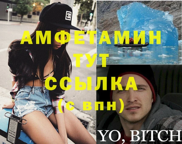 индика Алексин