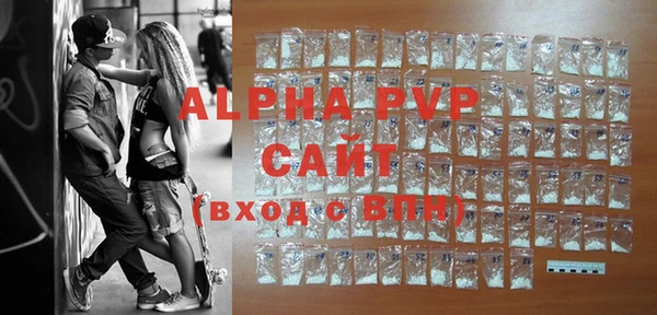 индика Алексин