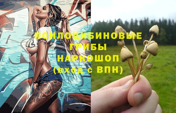 гидропоника Алексеевка