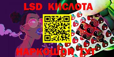 стаф Камышлов