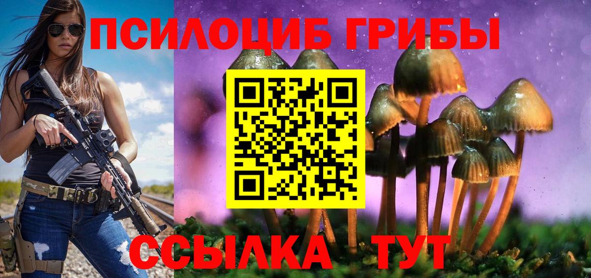 закладка  Псилоцибиновые грибы Psilocybe  Галлюциногенные грибы Psilocybine cubensis  Вход с VPN  Кулебаки 